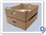 ladita_carton_1